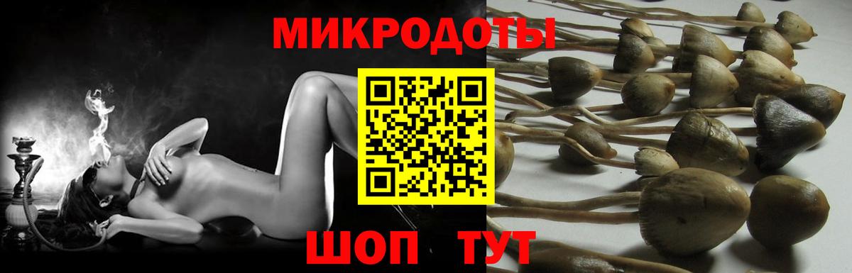 Нарьян-Мар  Псилоцибиновые грибы ЛСД  Вход с VPN 